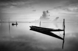 Contrast and Composition Layout in Black and White